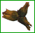 MINCANE